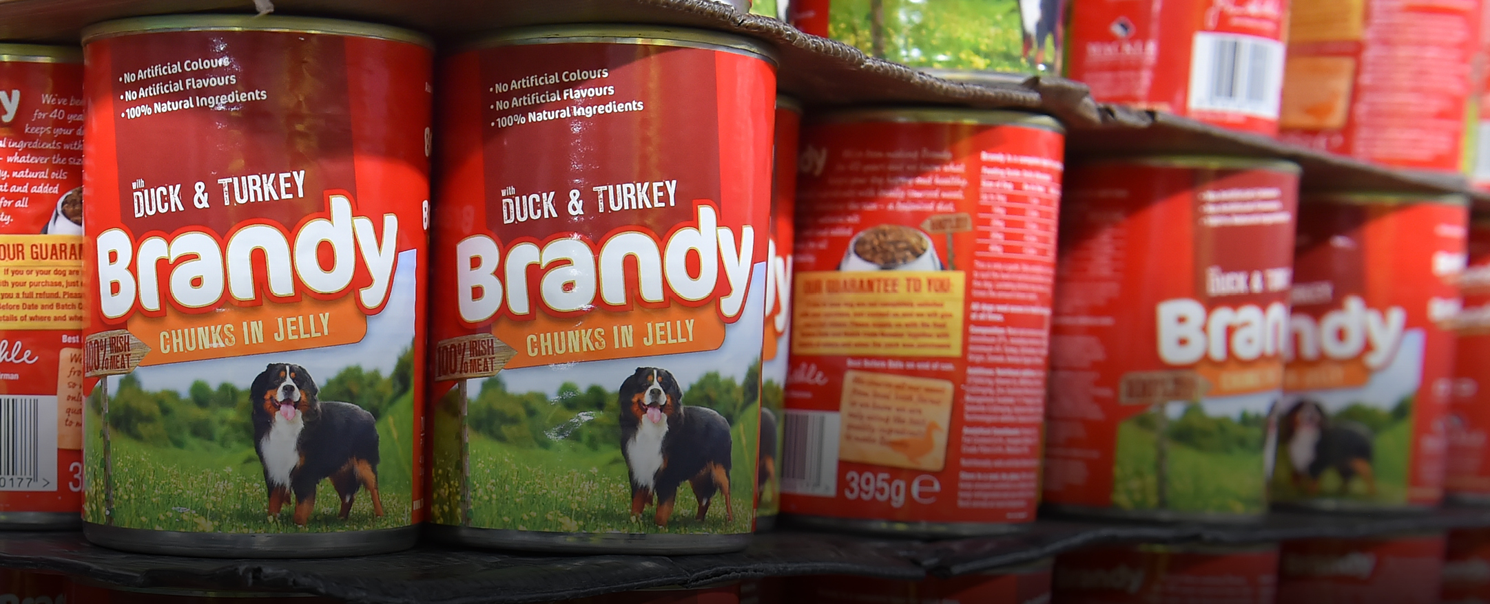 Brandy Dog Food