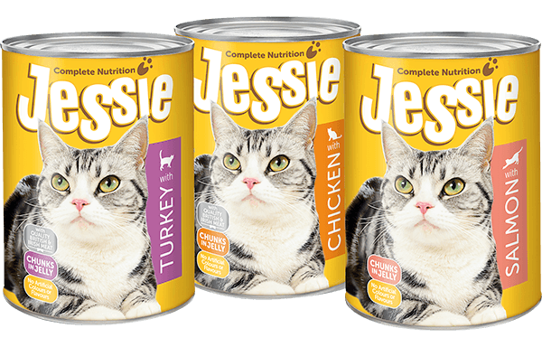 Jesse Cat Group