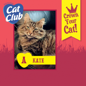 Kate Cat Club Finalist