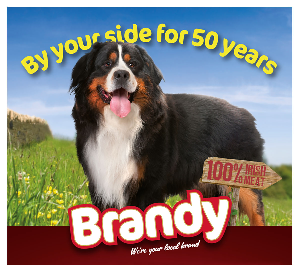 50 Years of Brandy